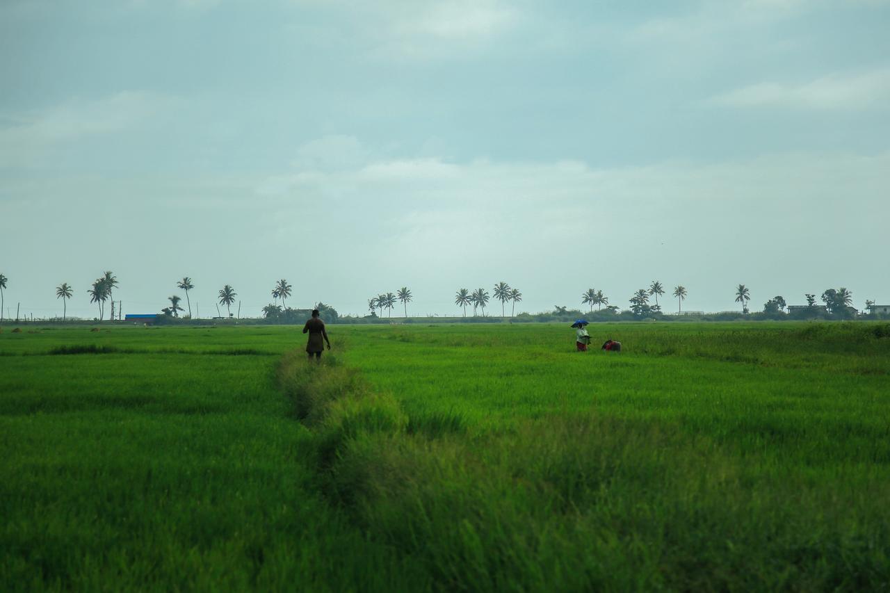 Palmgrove Lake Resort Alappuzha Ngoại thất bức ảnh