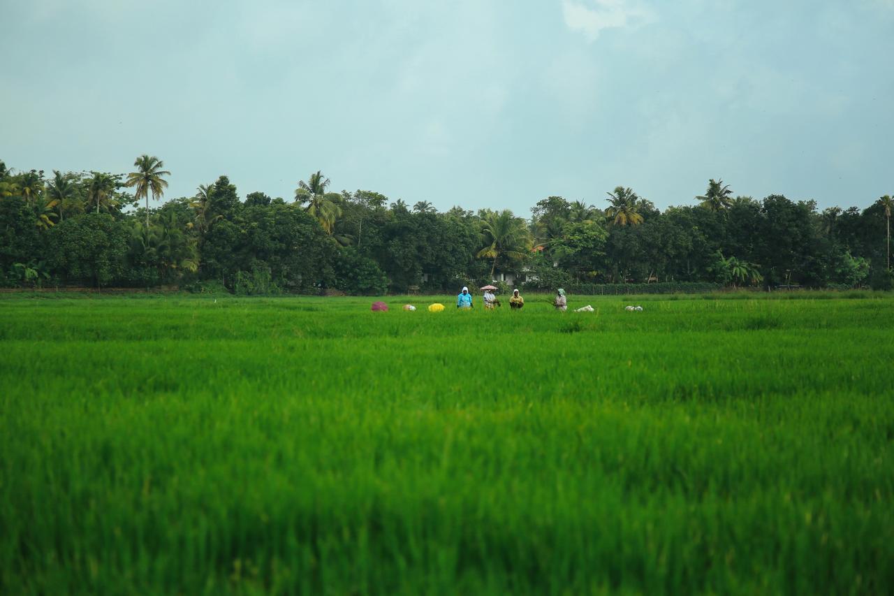 Palmgrove Lake Resort Alappuzha Ngoại thất bức ảnh