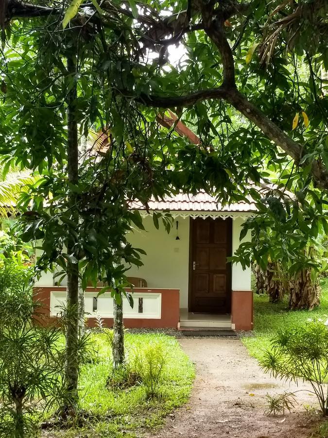 Palmgrove Lake Resort Alappuzha Ngoại thất bức ảnh